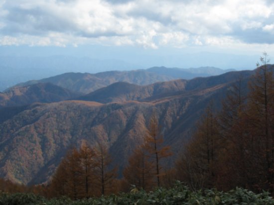 画像47